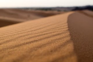 Biografi Uwais Al Qarni, Tabi'in Terbaik Biografi Uwais Al Qarni, Tabi'in Terbaik