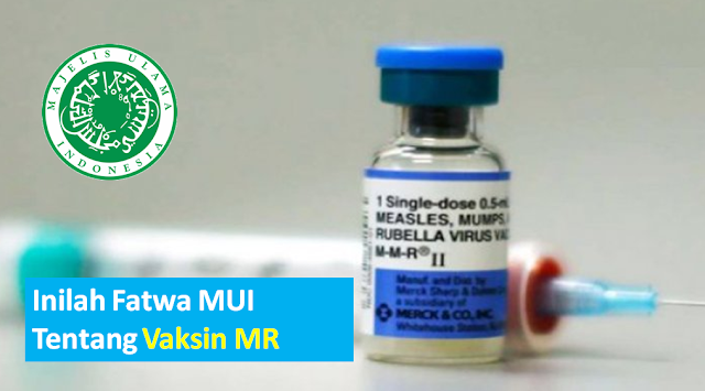fatwa mui vaksin mr fatwa mui vaksin mr