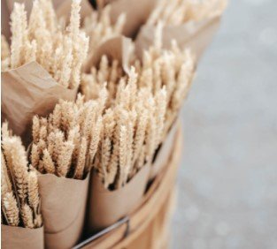 Urwah Al Bariqi : Jujur Jual Beli Urwah Al Bariqi : Jujur Jual Beli