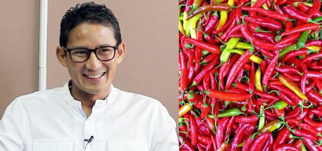 Sandi : Ekonomi Indonesia Kayak Cabe Merah, Pedas dan Naik Terus Sandi : Ekonomi Indonesia Kayak Cabe Merah, Pedas dan Naik Terus